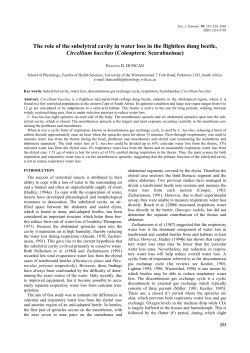 The role of the subelytral cavity in water loss in the flightless dung