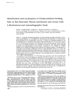 Identification and Localization of Cholecystokinin