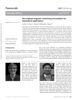 Bio-inspired magnetic swimming microrobot for biomedical