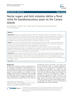 Nectar sugars and bird visitation define a floral niche for