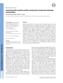 Lateral genetic transfer and the construction of genetic exchange