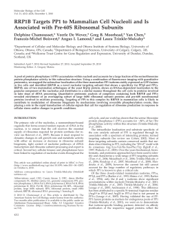 RRP1B Targets PP1 to Mammalian Cell Nucleoli