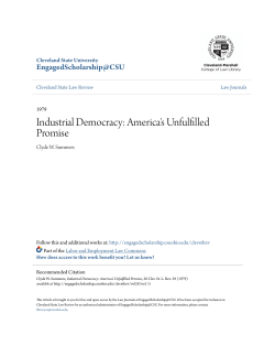 Industrial Democracy: America`s Unfulfilled Promise