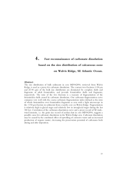 . Fast reconnaissance of carbonate dissolution based on the size