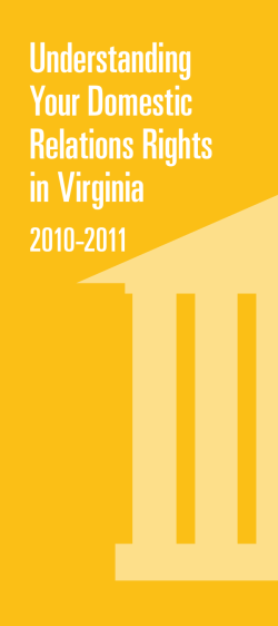 Understanding Your Domestic Relations Rights in Virginia