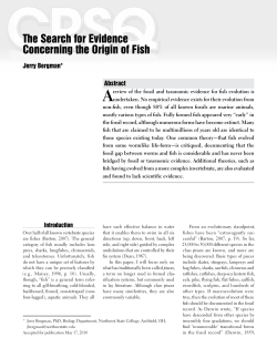 The Search for Evidence Concerning the Origin of Fish