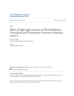 Effect of High Light intensity on Photoinhibition, Oxyradicals and