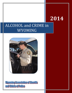 Alcohol and Crime in Wyoming - 2013