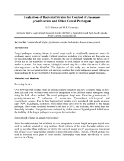 Evaluation of Bacterial Strains for Control of Fusarium graminearum