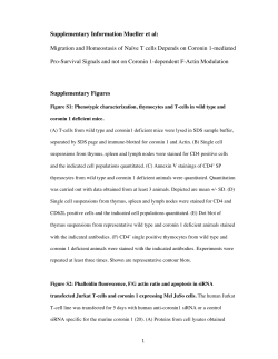 Supplementary Figures S1-S6 and Video Legend