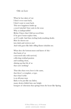 A Hunger: Petra White