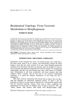 Biochemical topology: From vectorial metabolism to morphogenesis