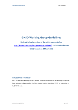 GNSO Working Group Guidelines