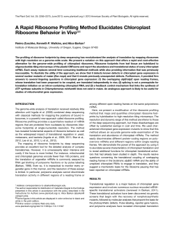 A Rapid Ribosome Profiling Method Elucidates