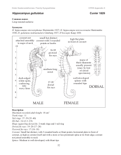ID guide  - Project Seahorse