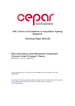 Risk Information and Retirement Investment Choices Under