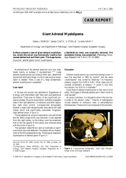 Giant Adrenal Myelolipoma