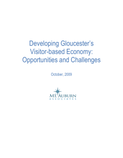 The Visitor-based Economy