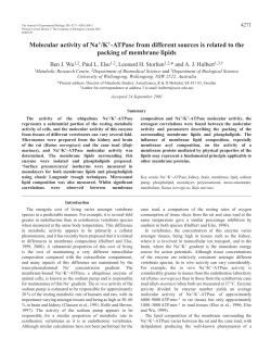 Molecular activity of Na+/K+-ATPase
