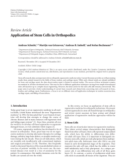 Application of Stem Cells in Orthopedics