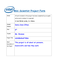 Mini-Scientist Project Form