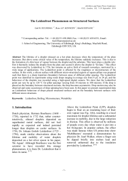 ICMF Template - Brunel University Research Archive