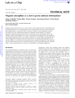 Lab on a Chip TECHNICAL NOTE