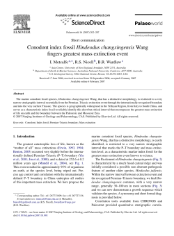 Conodont index fossil Hindeodus changxingensis Wang fingers