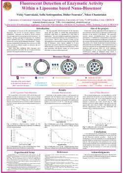 Fluorescent Detection of Enzymatic Activity Within a Liposome