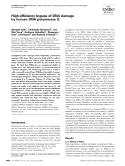 High-efficiency bypass of DNA damage by