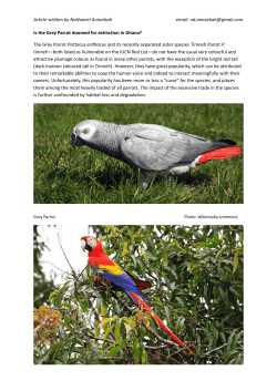 Is the Grey Parrot doomed for extinction in Ghana?