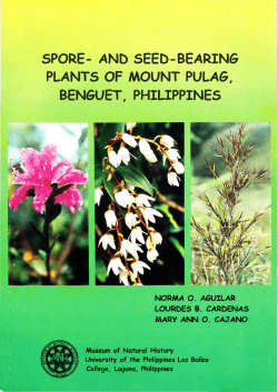 Spore-and Seed-bearing Plants of Mount Pulag