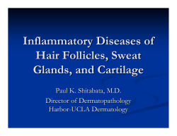 Inflammatory Diseases of Hair Follicles, Sweat