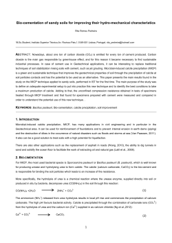 Bio-cementation of sandy soils for improving their