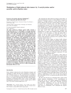 Modulation of light-induced skin tumors by N