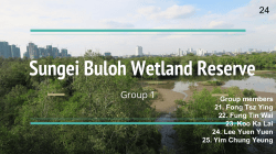 Sungei Buloh Wetland Reserve - School of Life Sciences, CUHK