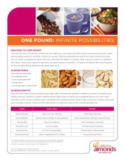 one pound: infinite possibilities