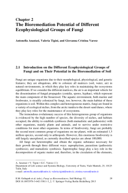 Sample pages 1 PDF