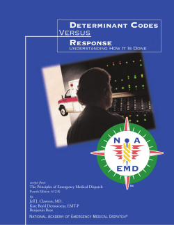 Determinant Codes - Dispatch software for law enforcement, sheriffs