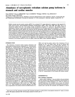 Abundance of sarcoplasmic reticulum calcium pump isoforms in