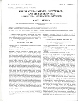 the brazilian genus, foetterleia, and its systematics