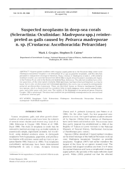 Full text in pdf format