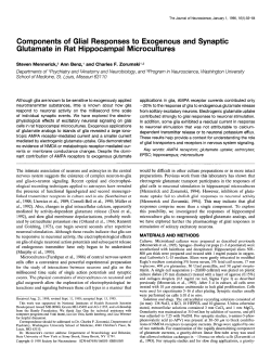 Components of Glial Responses to Exogenous and Synaptic