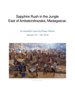 Sapphire Rush in the Jungle East of