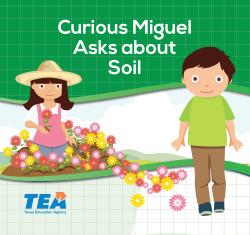 Curious Miguel - Texas Gateway