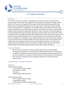 seawater - Ocean First Education