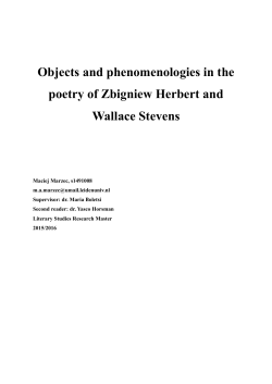 Maciej Marzec - Master thesis
