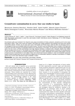 Groundwater contamination in caves: four case studies in Spain