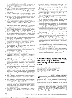 Pump Activity in Bovine