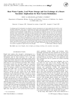 Root Water Uptake, Leaf Water Storage and Gas Exchange of a